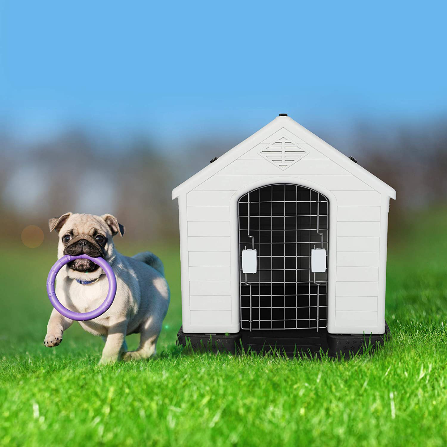 LONABR Plastic Outdoor Dog House for Pet Weatherproof Kennel Small to Large Size,Blue & White