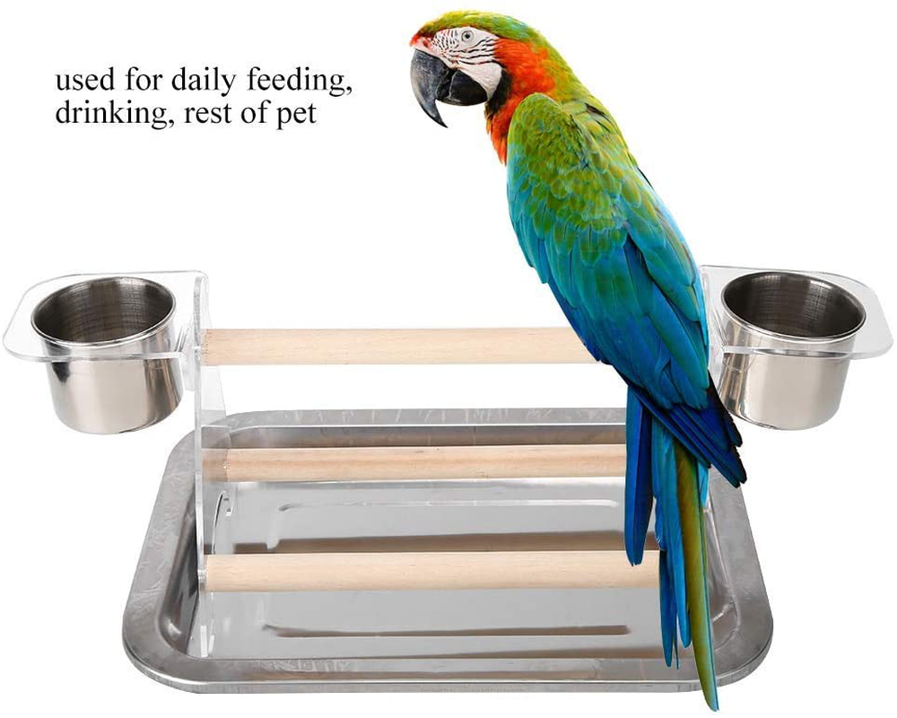 Bird Cage Stand Portable Stable Metal Wooden Parrot Perch Training Playstand Playgound Play Gym for Concures Parakeets Lovebirds Cockatiels Animals & Pet Supplies > Pet Supplies > Bird Supplies > Bird Gyms & Playstands Pssopp   