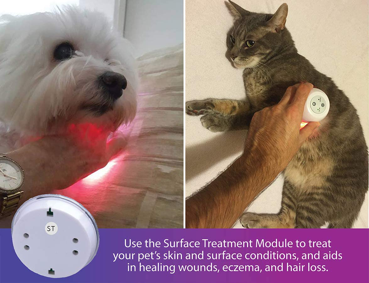 Lumasoothe Light Therapy for Dogs and Pets - LED Light Therapy for Pain Relief, Muscle & Joint Pain from Dog Arthritis, Reduce Inflammation, Heal Wounds, & Clear Skin Infections with 2 Therapy Modules Animals & Pet Supplies > Pet Supplies > Dog Supplies > Dog Treadmills LumaSoothe   