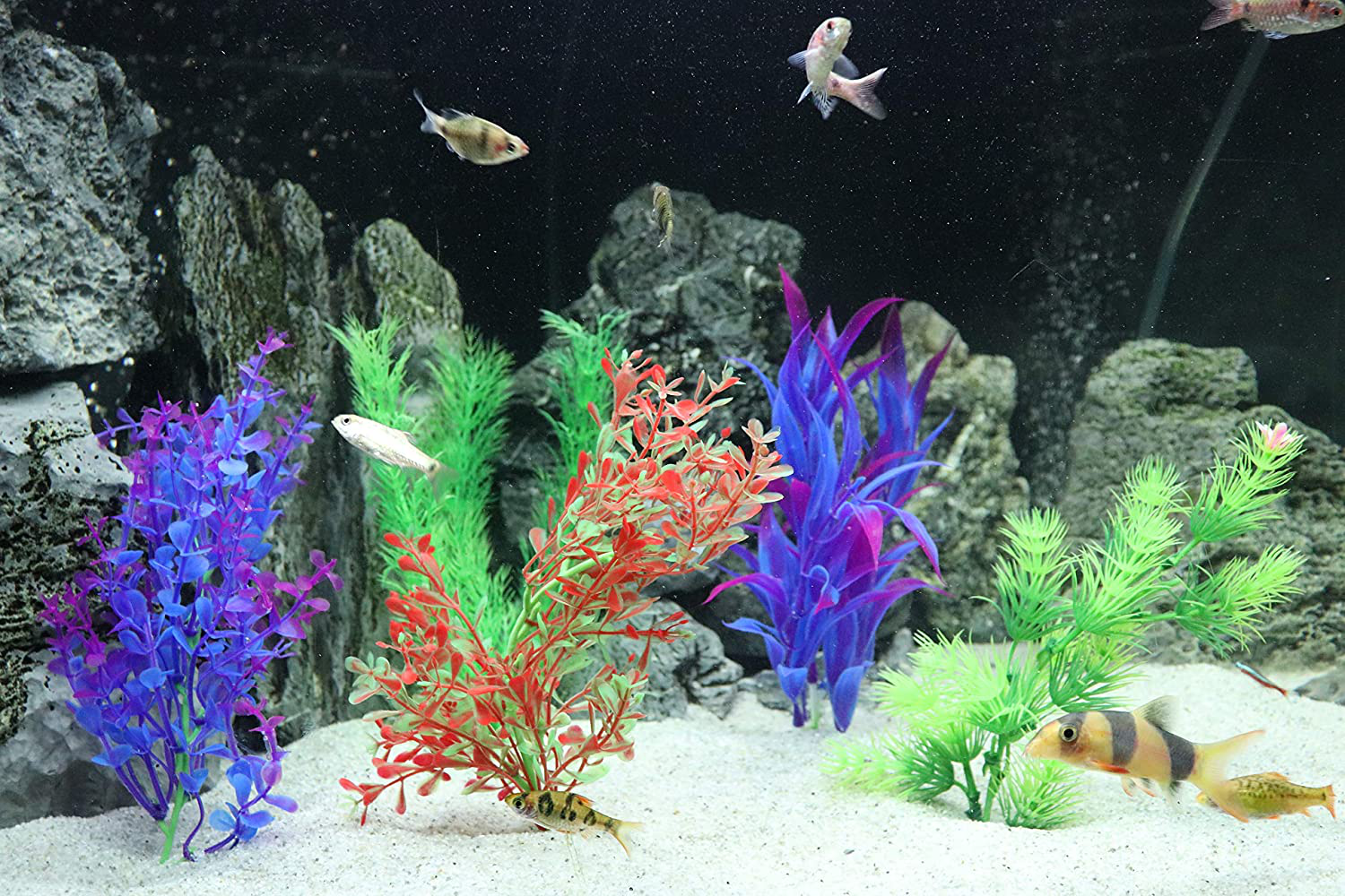 Aquatic Planet 5 PACK Artificial Fake Plastic Aquarium Plants Fish Tank Decoration Decor Ornament Animals & Pet Supplies > Pet Supplies > Fish Supplies > Aquarium Decor Aquatic Planet   