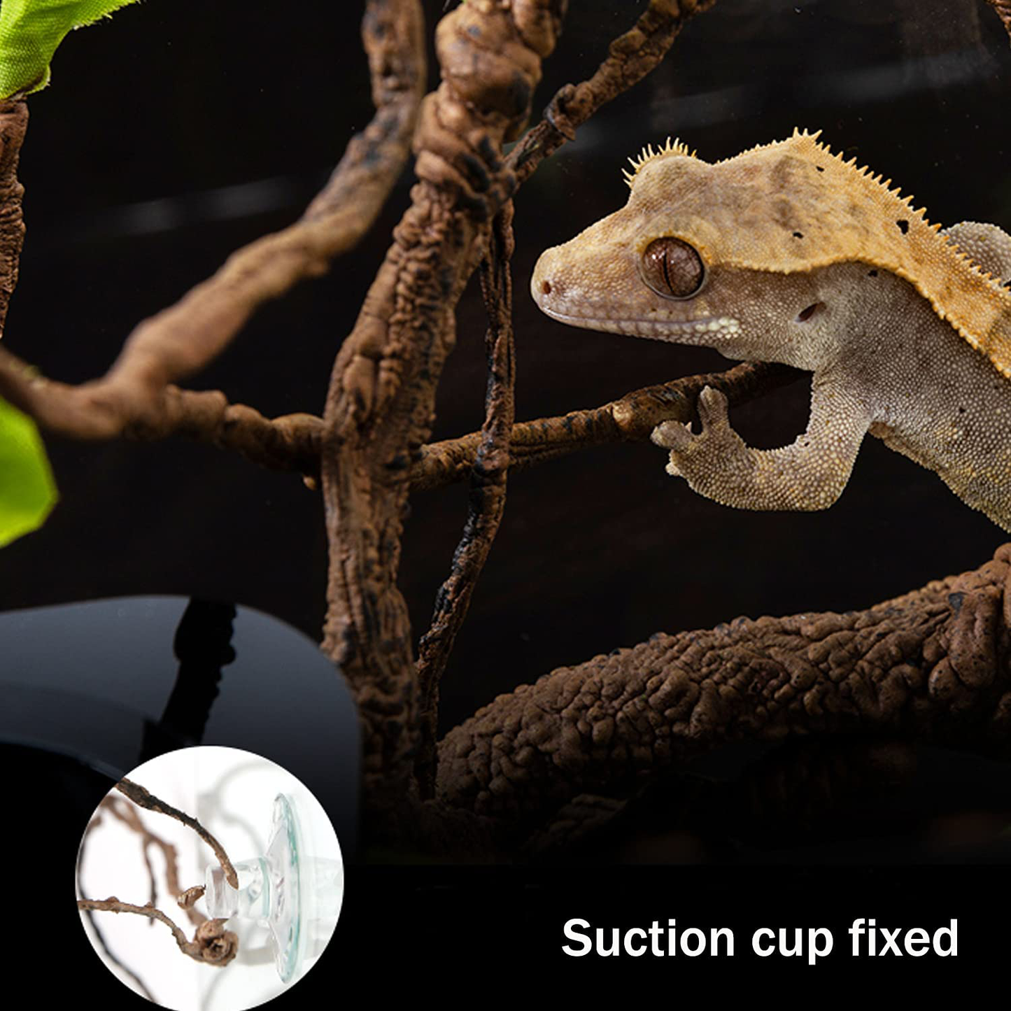 HERCOCCI Leopard Gecko Tank Accessories, Coconut Shell Ladder Hideout Hole Reptile Climbing Vine Habitat Decor with 3 Pieces Colorful Plastic Plants for Chameleon Lizard Snake Hermit Crab