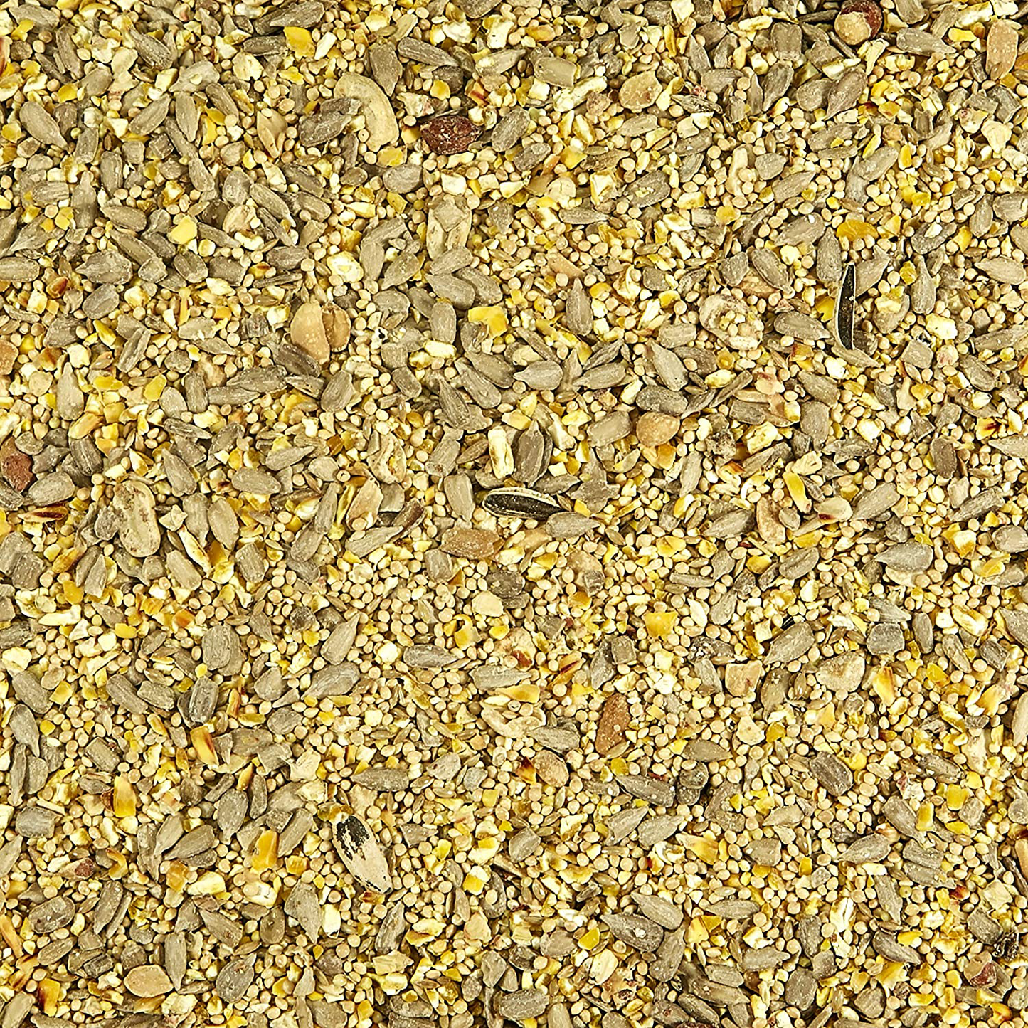 Kaytee Waste Free Bird Seed Blend, 5-Pound Animals & Pet Supplies > Pet Supplies > Bird Supplies > Bird Food Kaytee   