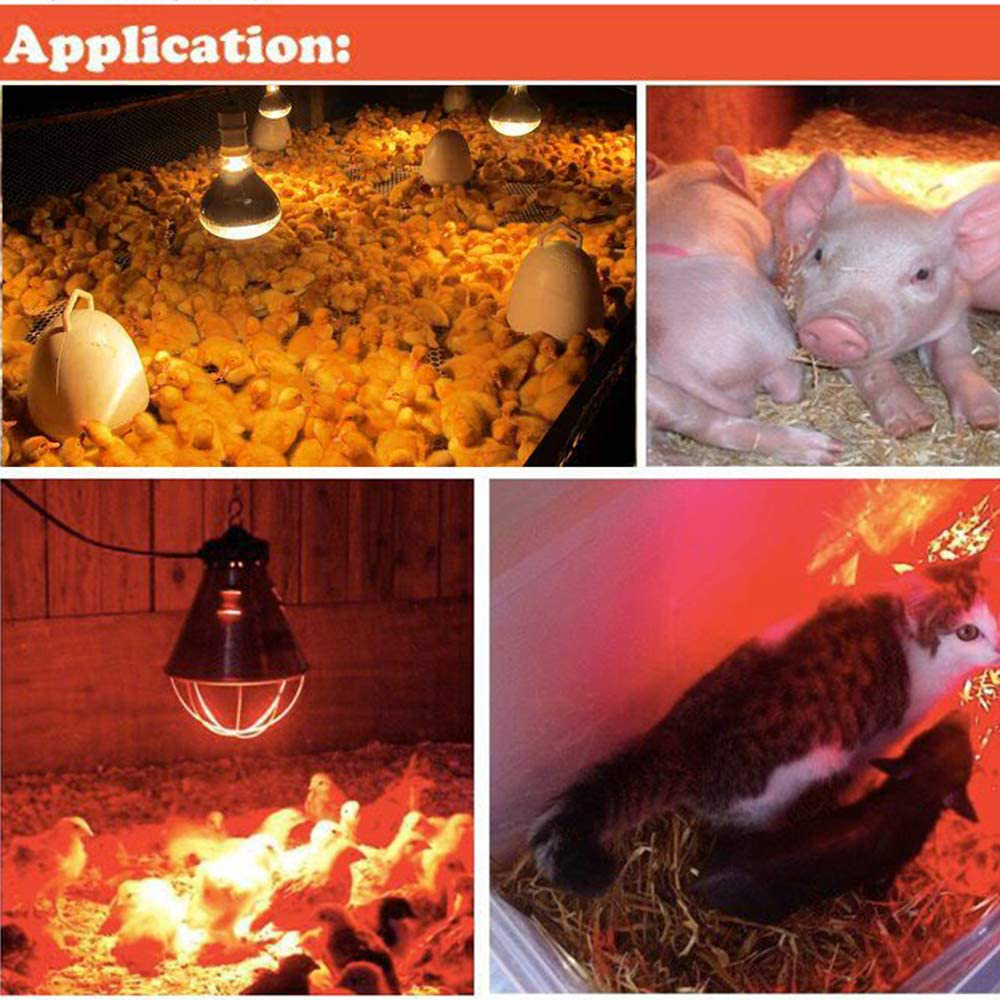 Fengrun Dark Red Hard Glass Infrared Heating Bulb 250 Watt for Chicken Farm, Pig Farm, Pets