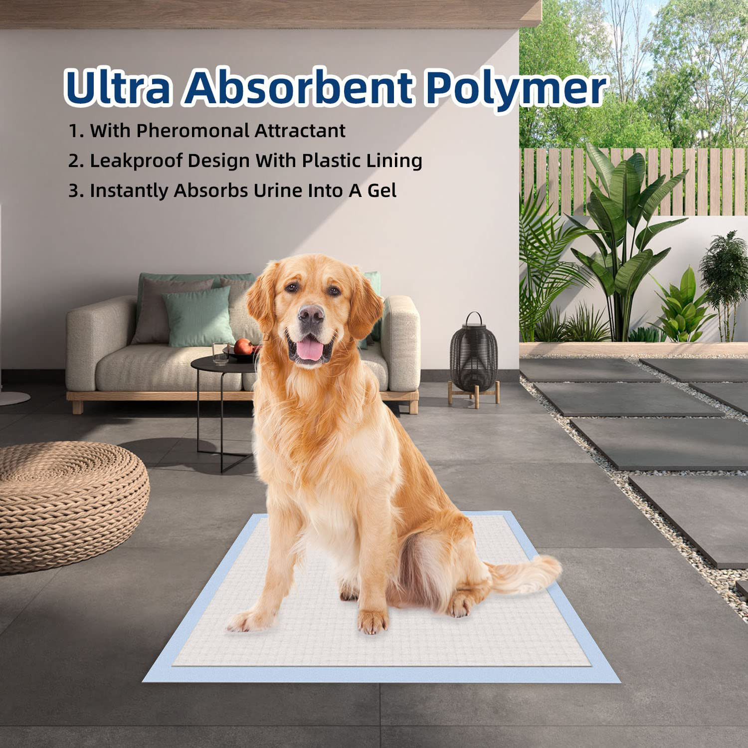 All-Absorb Extra Large Training Pads 28-Inch by 34-Inch Animals & Pet Supplies > Pet Supplies > Dog Supplies > Dog Diaper Pads & Liners All-Absorb   
