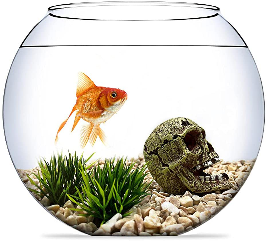 HITOP Resin Aquarium Ornament Mini Skull/Landscape-Stone/Mechanical-Tank, Fish Tank Decoration for Fish or Reptile，With 10Pcs Small Plants Animals & Pet Supplies > Pet Supplies > Fish Supplies > Aquarium Decor HITOP   