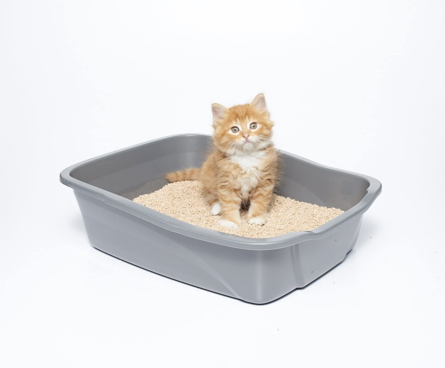 Swheat Scoop Multi-Cat All-Natural Clumping Cat Litter, 14Lb Bag Animals & Pet Supplies > Pet Supplies > Cat Supplies > Cat Litter Box Liners sWheat Scoop   