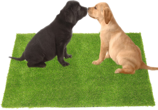 ECO MATRIX Artificial Grass Dog Training Door Mat Pee Pad Fake Grass Doormat Pet Turf Soft Green Lawn Rug Synthetic Grass Carpet Animals & Pet Supplies > Pet Supplies > Dog Supplies > Dog Kennels & Runs ECO MATRIX 39*59inch  