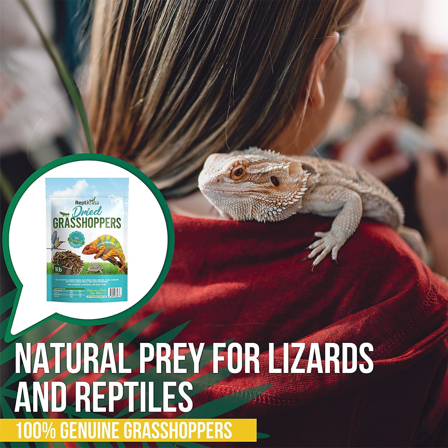 Repticasa Dried Grasshoppers Turtle Food – 1Lb Reptile Food Ideal for Bearded Dragons, Hedgehogs, Lizards, Chameleons, Birds – Rich in Protein – Natural and Healthy Treats for Exotic Pets Animals & Pet Supplies > Pet Supplies > Reptile & Amphibian Supplies > Reptile & Amphibian Food ReptiCasa   