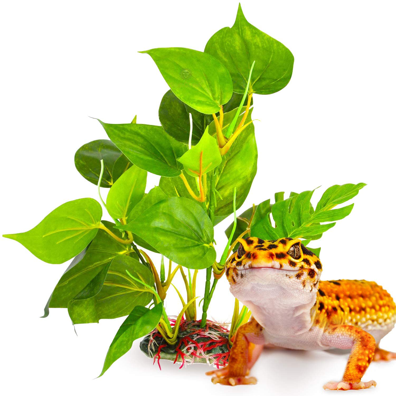 Sungrow Reptile Artificial Plant with Resin Base, 10”, Terrarium Decor with Zero Maintenance, 1 Pc per Pack Animals & Pet Supplies > Pet Supplies > Reptile & Amphibian Supplies > Reptile & Amphibian Habitat Accessories SunGrow   