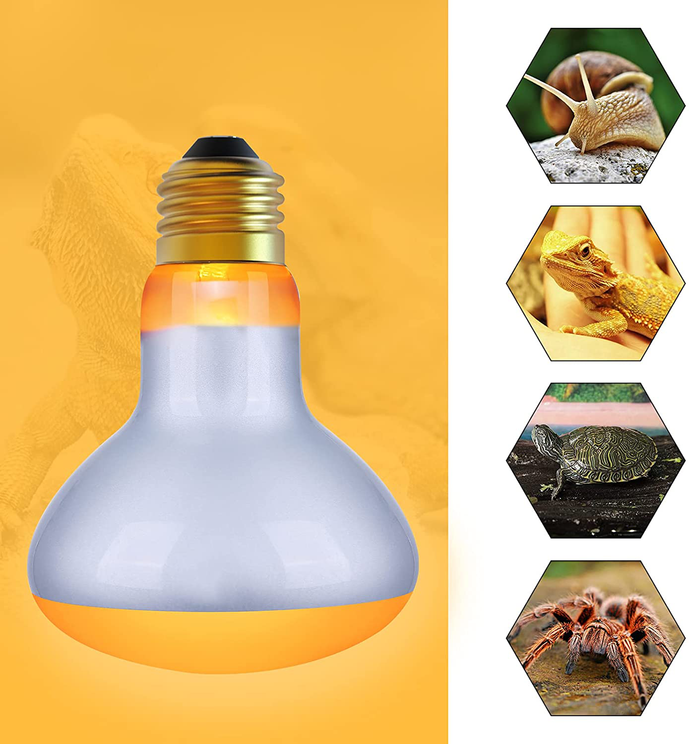 Infrared Heat Lamp Basking Spot Light Bulb，Ledesign 75 Watt White Heat Lamp Bulbs for Reptiles and Amphibian Use, 2 Packs (White)