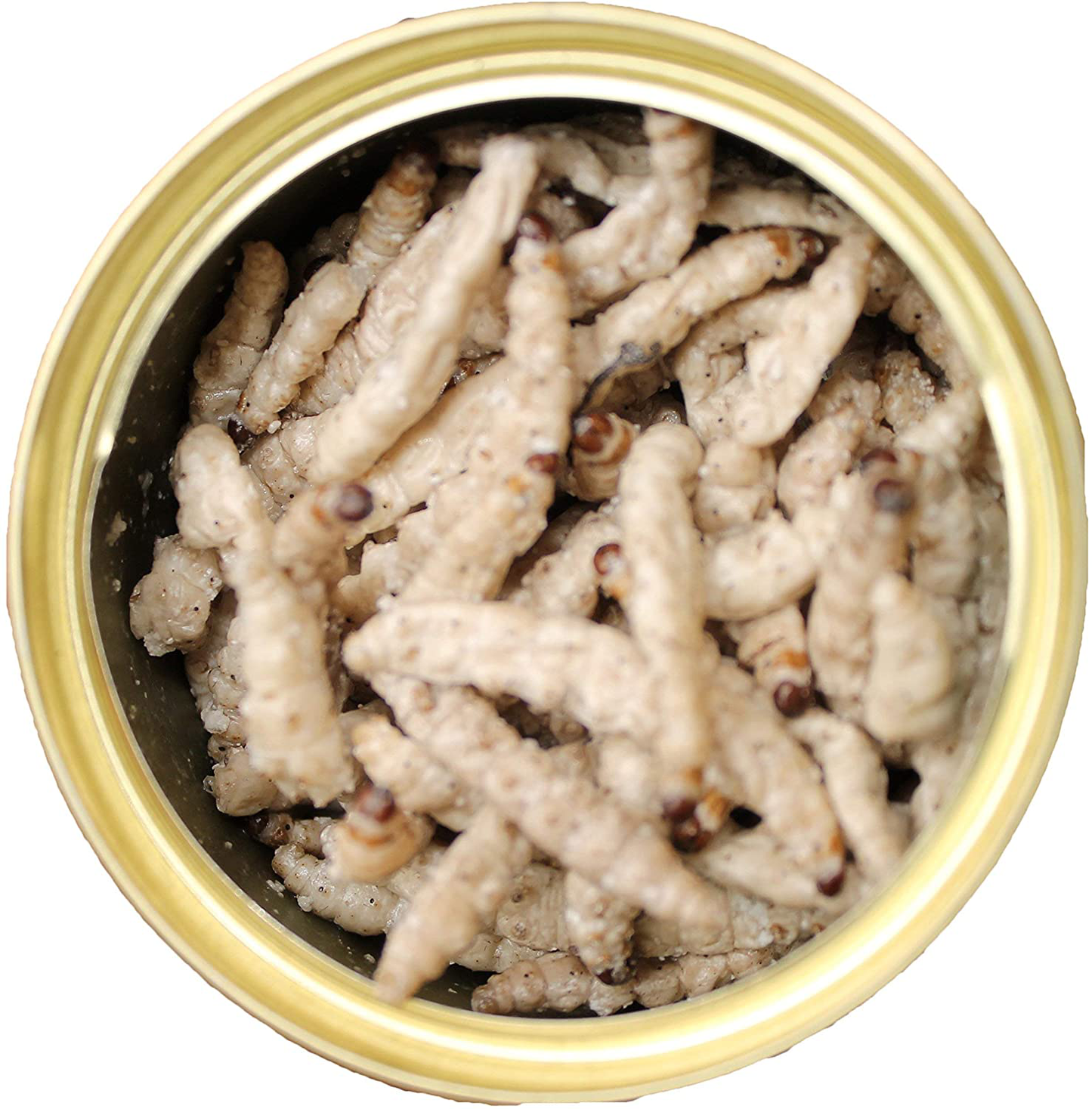 Canned Caterpillars (1.2 Oz. 6 Pack) - Healthy High Protein Insect Treat - Hedgehogs, Sugar Gliders, Reptiles, Wild Birds, Chickens, Lizards, Bearded Dragons, Skunks, Opossums, Fish, Amphibians Animals & Pet Supplies > Pet Supplies > Reptile & Amphibian Supplies > Reptile & Amphibian Food Exotic Nutrition   