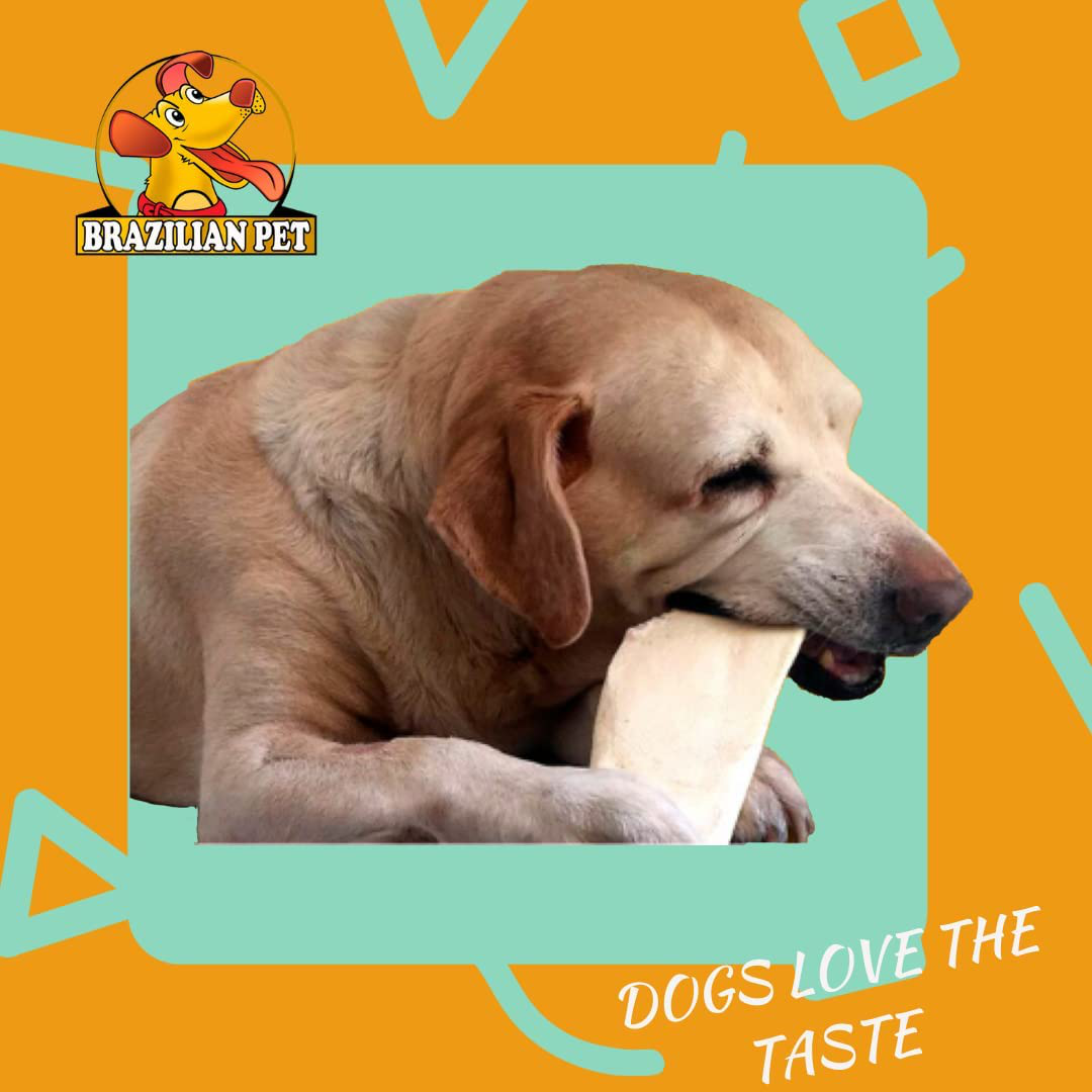 Thick Cut Chips, Wholegrain Rawhide (Last Much Longer than Traditional Chips). 100% Natural. Great Behavioral Dog Chewing Treat Solution. Animals & Pet Supplies > Pet Supplies > Small Animal Supplies > Small Animal Treats Brazilian Pet   