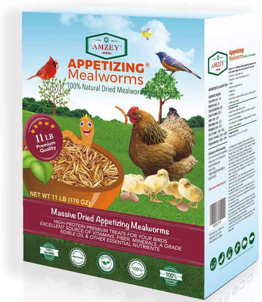 Dried Mealworms 11 LBS - 100% Natural for Chicken Feed, Bird Food, Fish Food, Turtle Food, Duck Food, Reptile Food, Non-Gmo, No Preservatives, High Protein and Nutrition Animals & Pet Supplies > Pet Supplies > Bird Supplies > Bird Food Amzey   