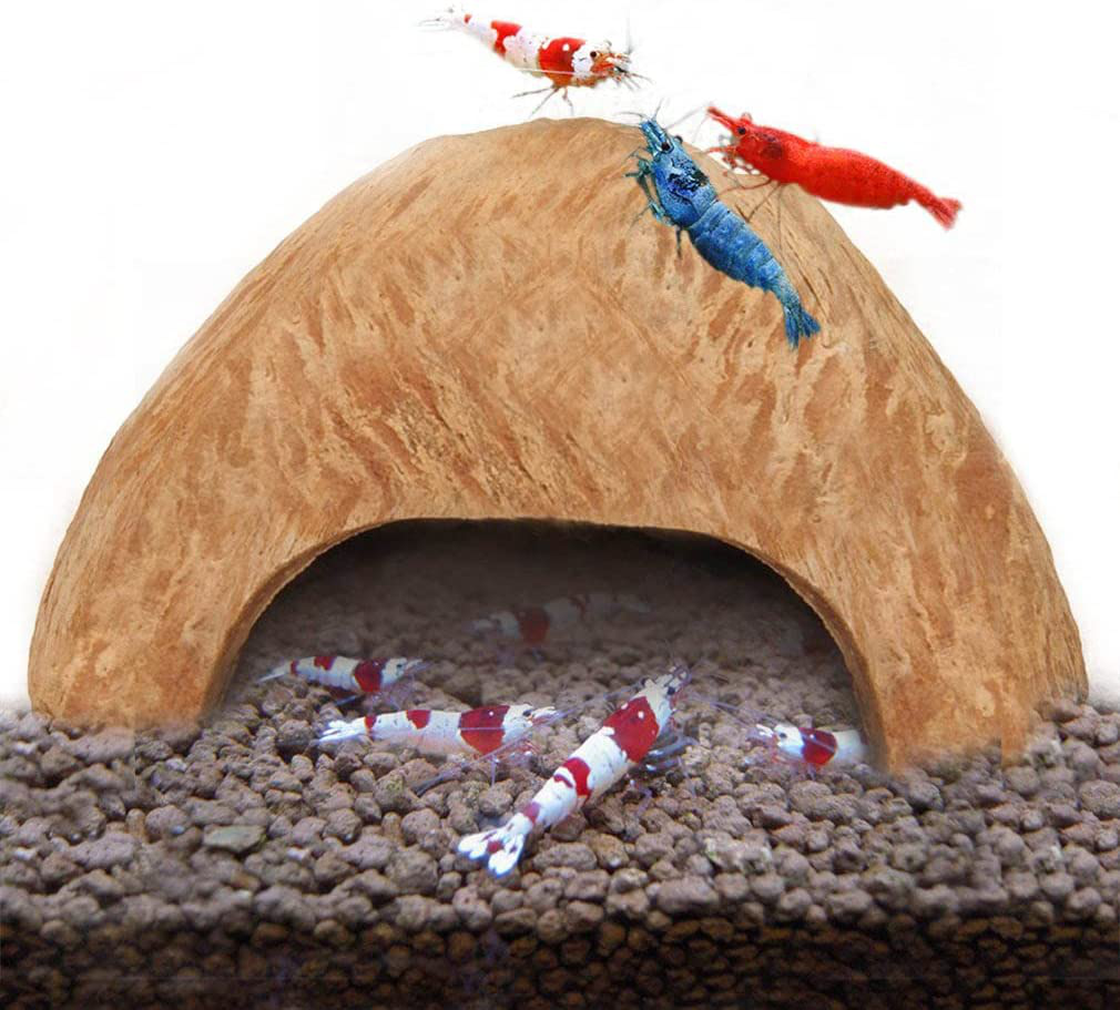 Sungrow Coco Shrimp Cave, Comfortable Shelter and Breeding Area for Crustaceans, Aquarium Decor, Ideal for Swimming in & Out, Encourages Shedding, 1 Pc Animals & Pet Supplies > Pet Supplies > Fish Supplies > Aquarium Decor SunGrow   