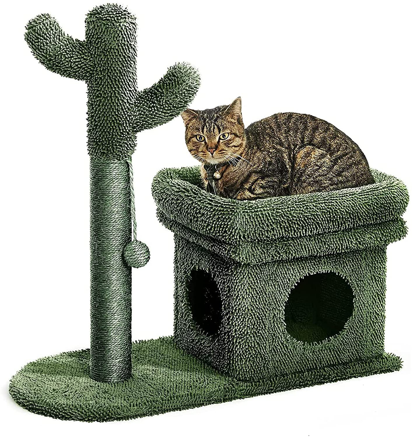 Catinsider 2 in 1 Cat Scratching Post Kitty Condo with Dangling Ball for Small Cats Green Animals & Pet Supplies > Pet Supplies > Cat Supplies > Cat Furniture Catinsider   