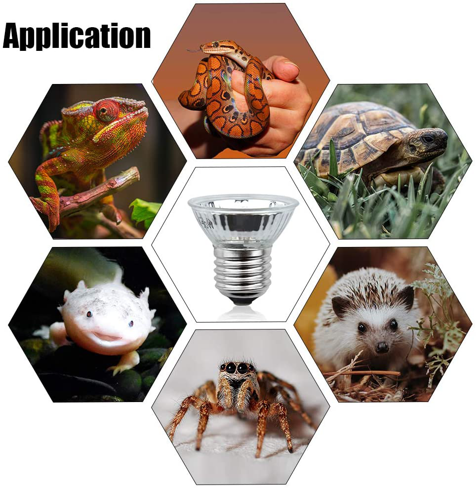 Doright 8-Pack UVA + UVB Full Spectrum Sun Lamp Sunbathe Heat Lamp Bulb, 50W Dimmable Reptile Heat Light Bulb, E26/E27 Basking Bulb for Turtle, Lizard, Aquatic Reptile, Frog Animals & Pet Supplies > Pet Supplies > Reptile & Amphibian Supplies > Reptile & Amphibian Habitat Heating & Lighting DoRight   