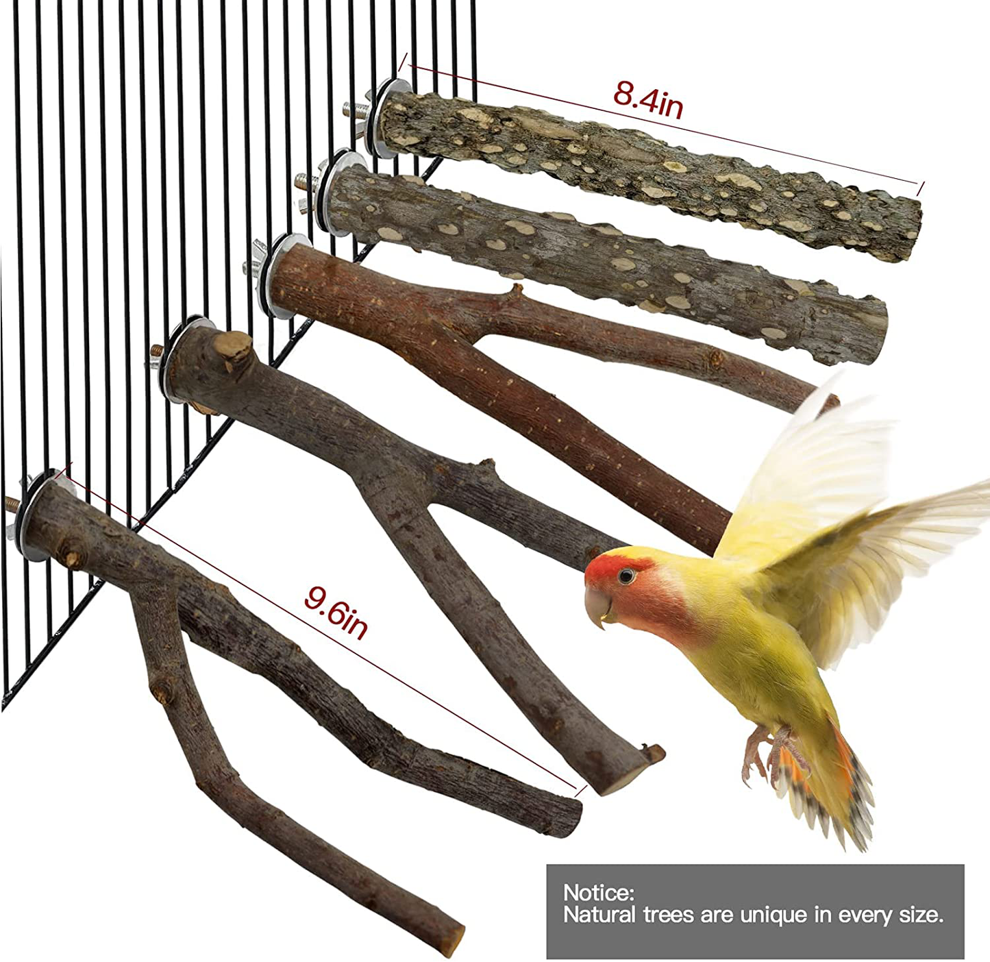 RF-X Bird Toys Perch Wood, Parrot Toys Natural Branch Standing Stick Set of 5, Suitable for Macaws, Budgies, Lovebirds, Finches, Small and Medium Sized Bird Toys Animals & Pet Supplies > Pet Supplies > Bird Supplies > Bird Toys RF-X   