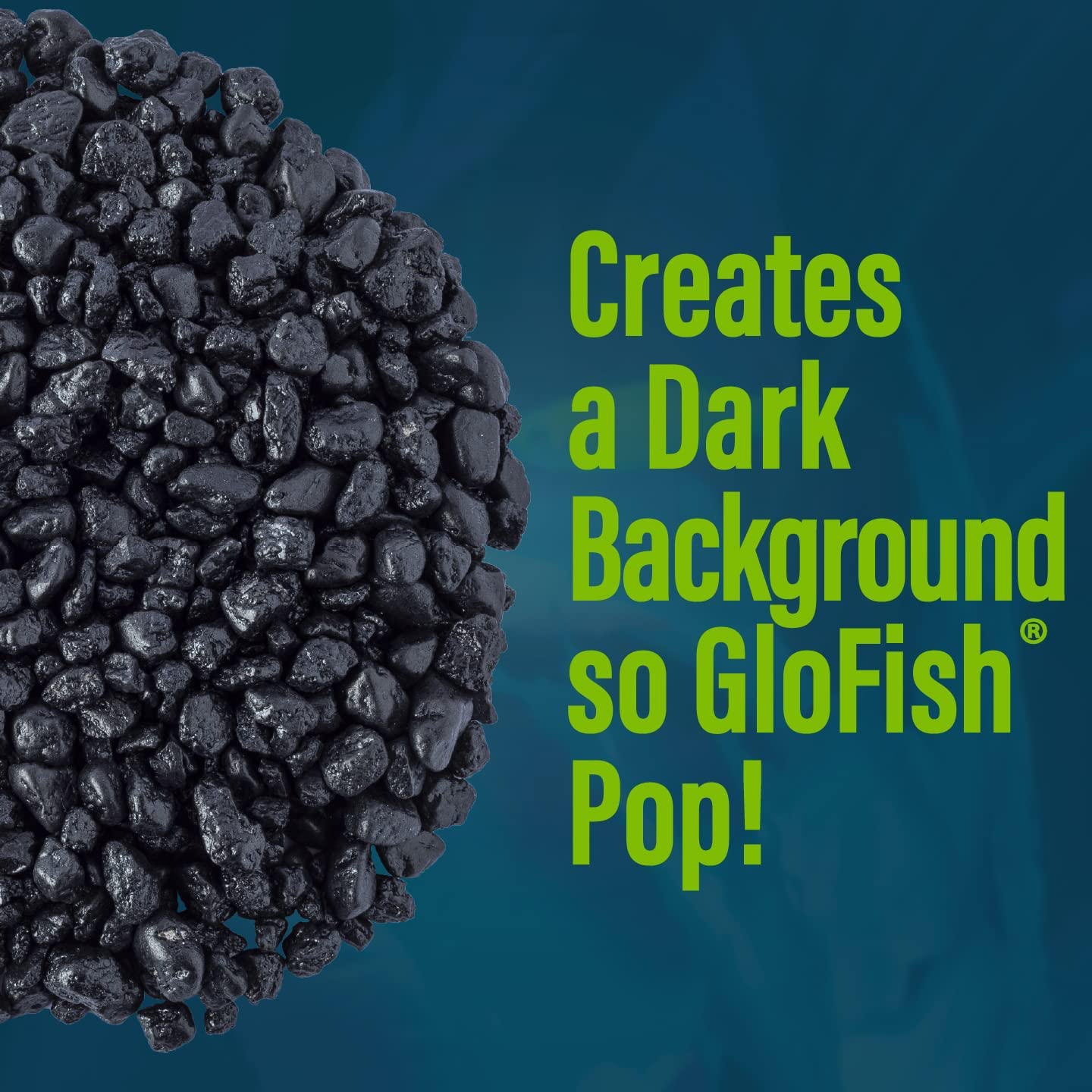 Glofish Aquarium Gravel 5 Pounds, Black with Fluorescent Plastic Accen –  KOL PET