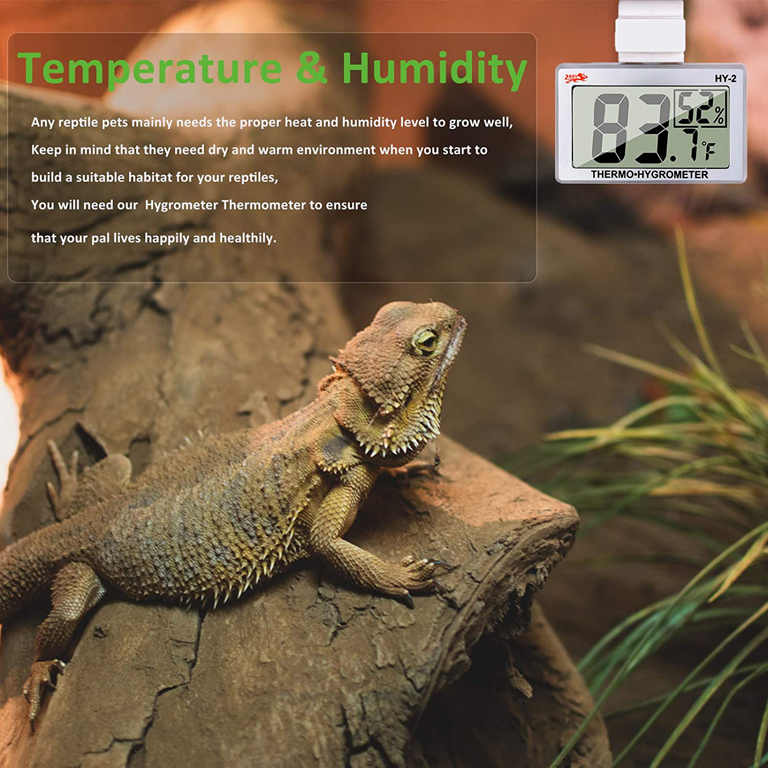 capetsma Reptile Thermometer, Digital Thermometer Hygrometer for Reptile  Terrarium, Temperature and Humidity Monitor in Acrylic and Glass Terrarium,Accurate  - Easy to Read - No Messy Wires (1 Pack)