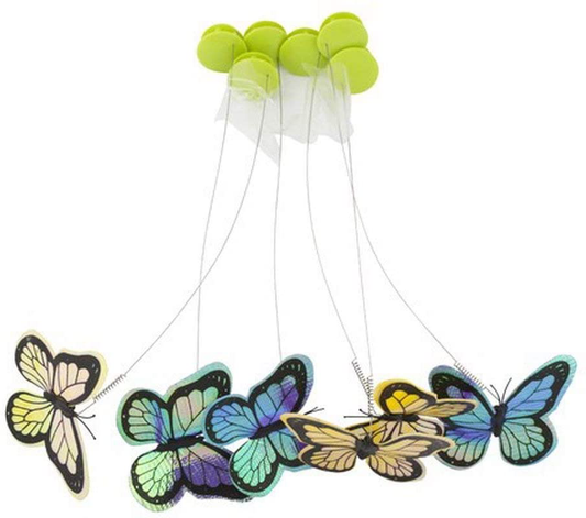 All for Paws Interactive Motion Activate Cat Butterfly Toy with One Replacement Flashing Butterflies Toy Animals & Pet Supplies > Pet Supplies > Cat Supplies > Cat Toys AFP 6pack Refill  