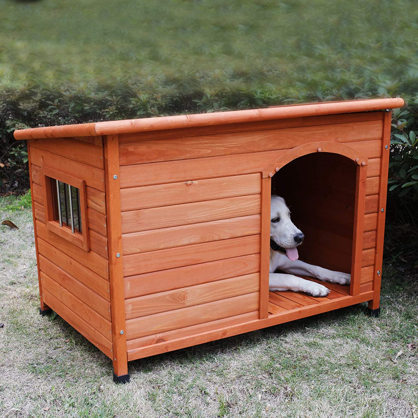 Rockever Wood Dog Houses Outdoor Insulated, Weatherproof Dog Houses outside with Door Cute Wooden