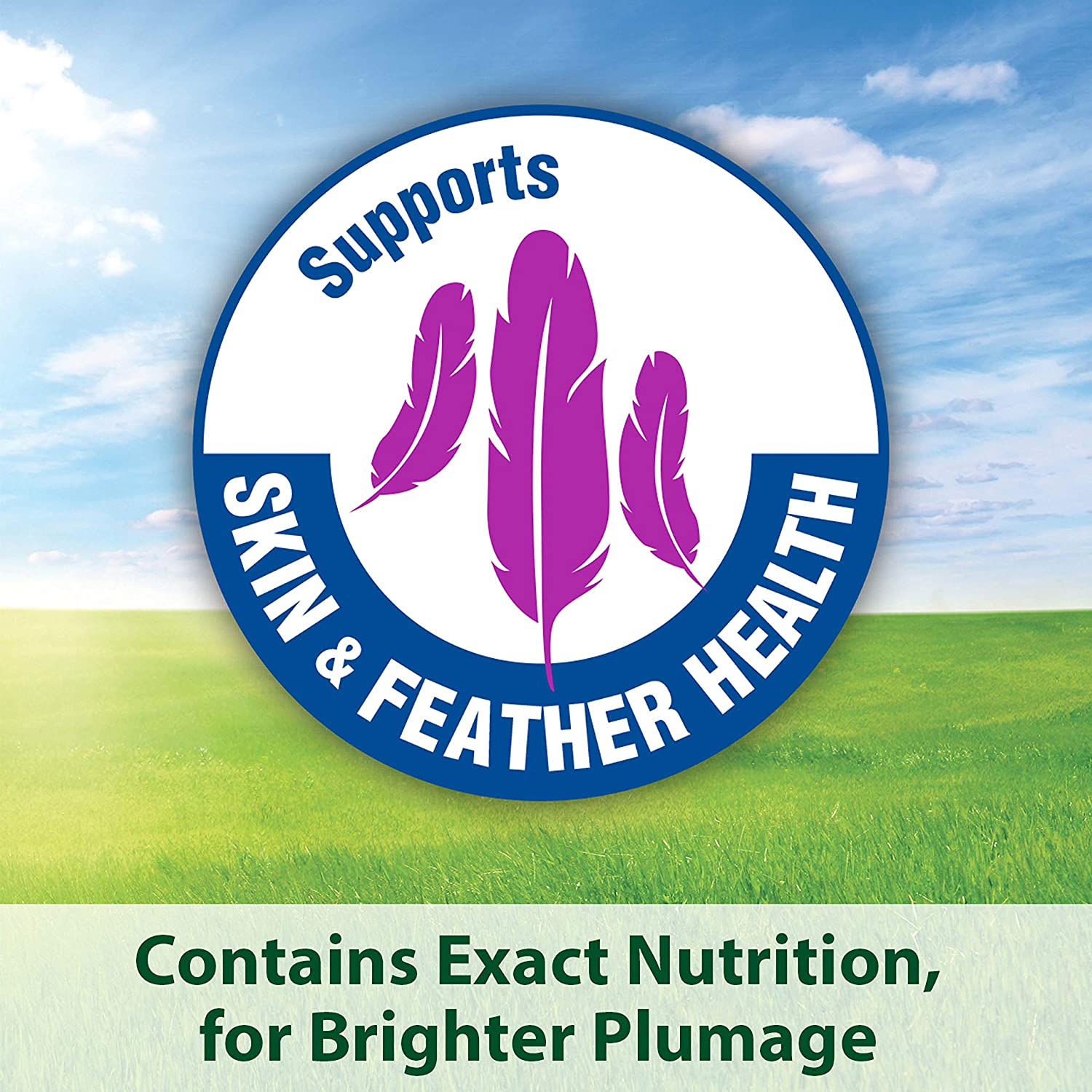 Kaytee Forti-Diet Pro Health Healthy Support Diet Cockatiel Food Animals & Pet Supplies > Pet Supplies > Bird Supplies > Bird Food Kaytee   