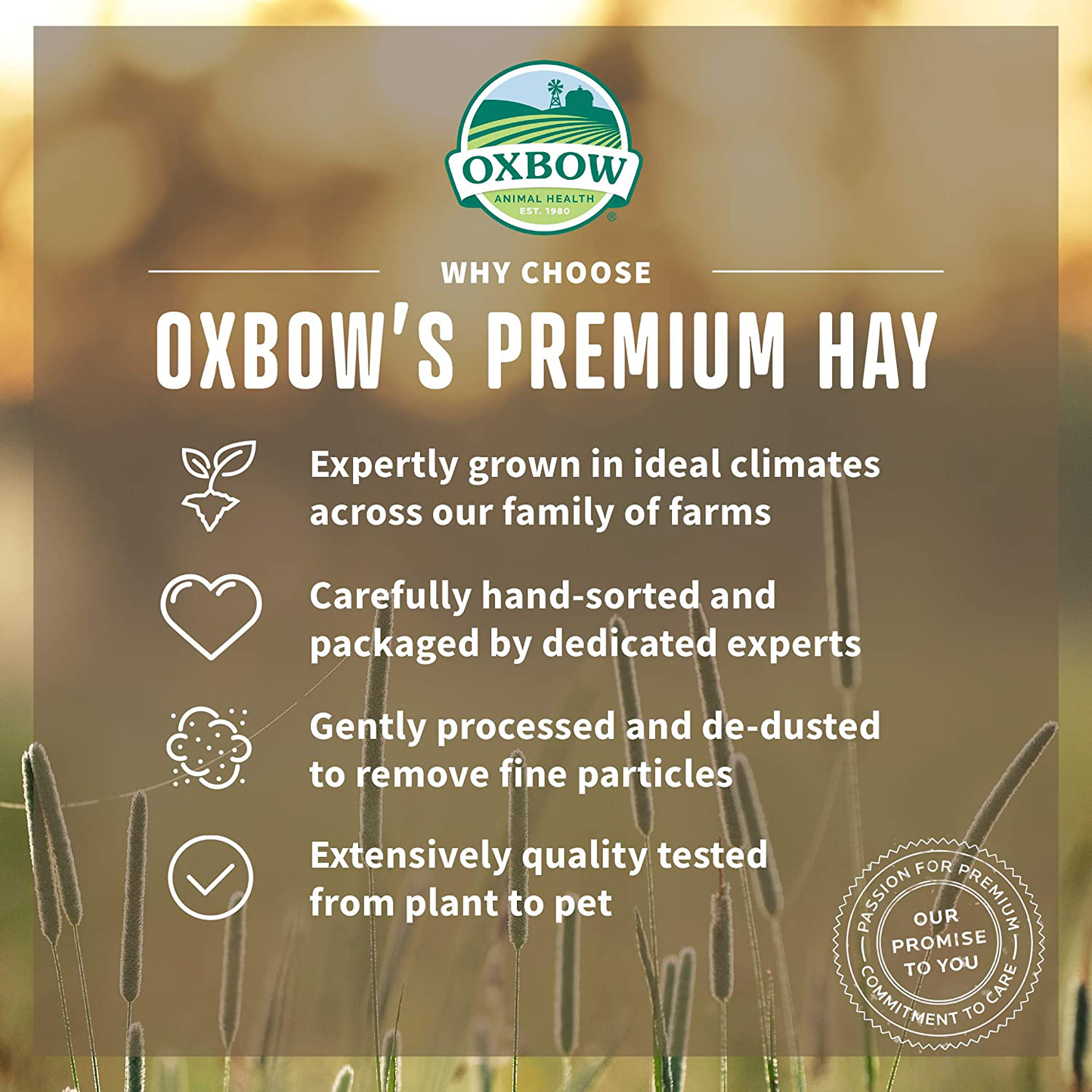 Oxbow Animal Health Organic Meadow Hay - All Natural Hay for Rabbits, Guinea Pigs, Chinchillas, Hamsters & Gerbils Animals & Pet Supplies > Pet Supplies > Small Animal Supplies > Small Animal Food Oxbow   