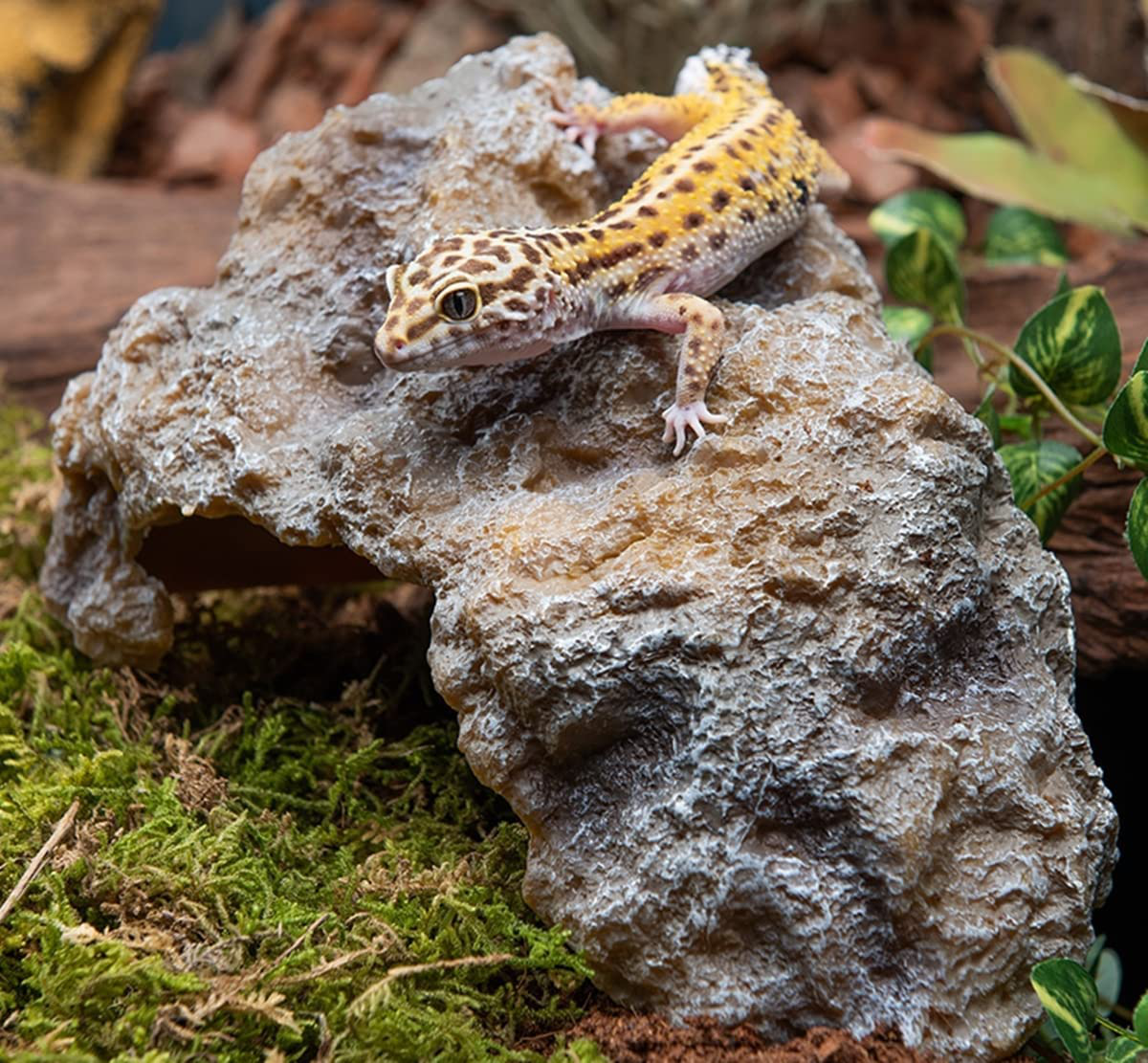 Runxf Reptile Simulation Rock Hideouts Cave Amphibian Hides Resin Habitat Decor Shelter for Gecko Leopard Lizards Toad Turtle