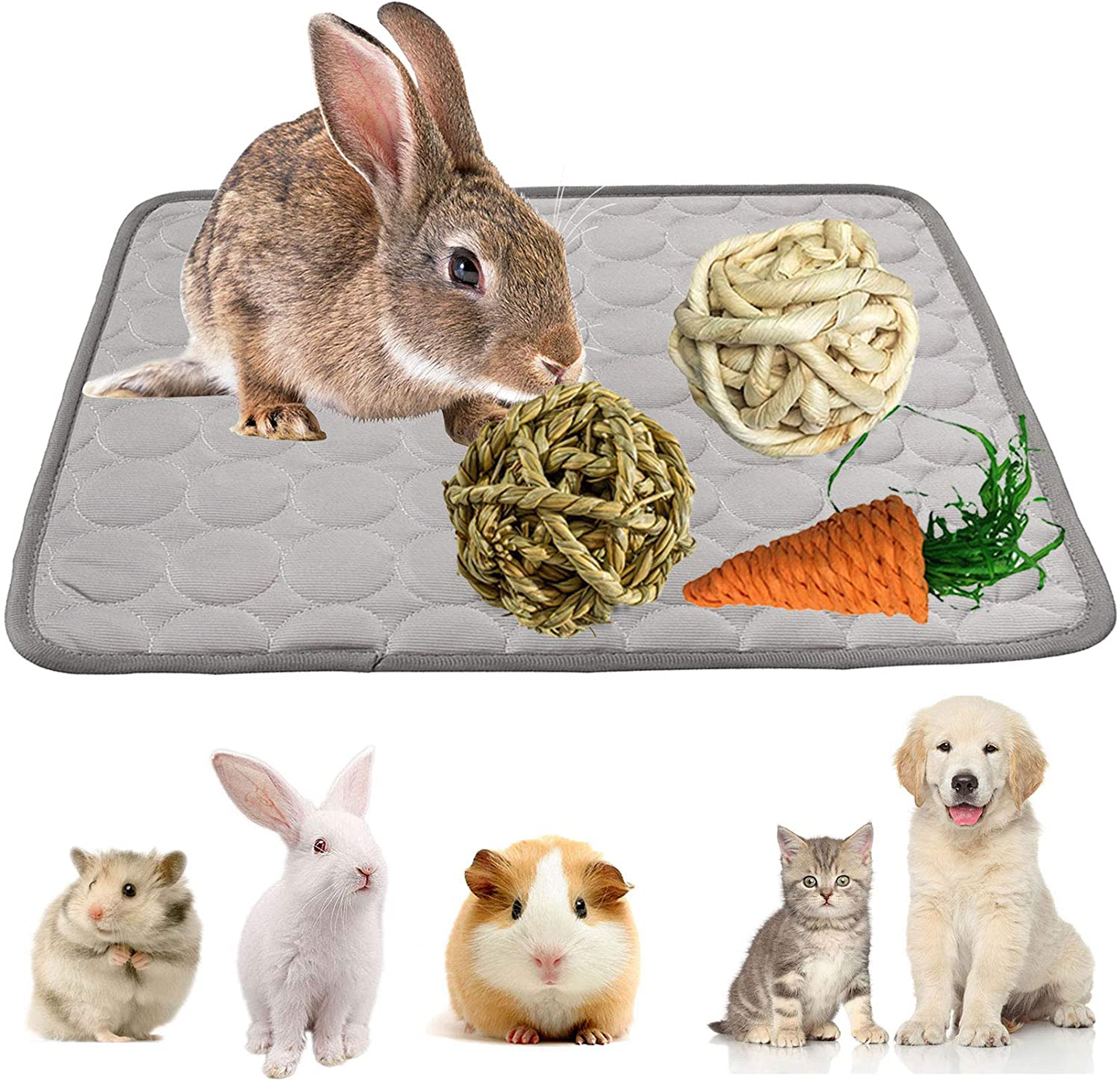 Kathson Guinea Pig Bedding Mats Small Animals Cage Liners Washable Absorbent Non-Slip Reusable Pee Pads Bunny Chew Toys for Guinea Pig Hamster Chinchilla Gerbil Hedgehog Rat Animals & Pet Supplies > Pet Supplies > Small Animal Supplies > Small Animal Bedding kathson   