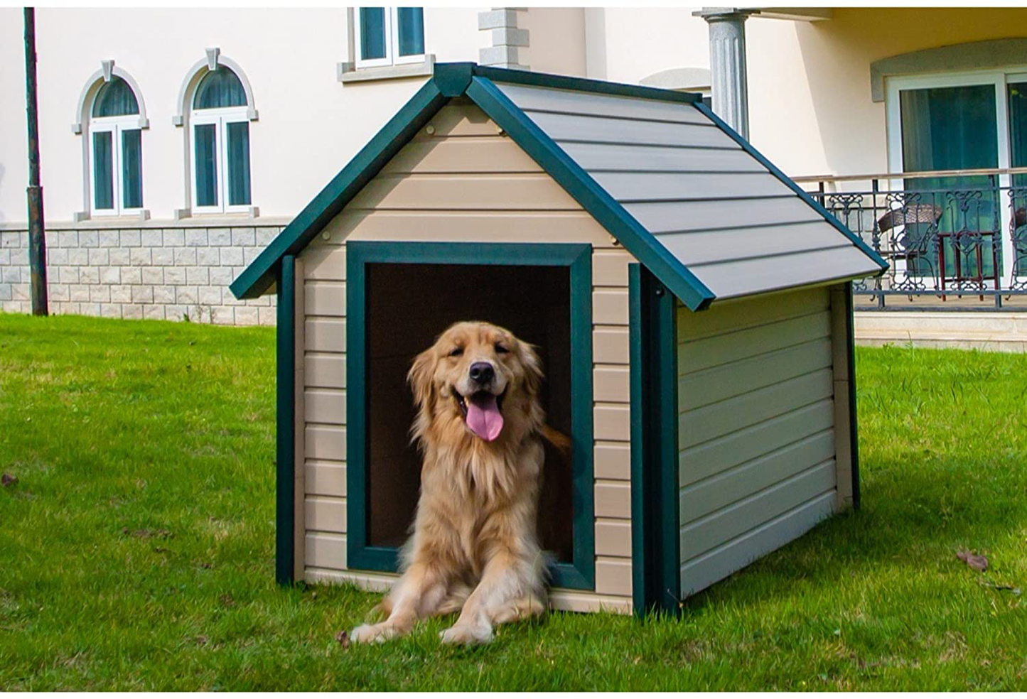 Ecoflex Bunkhouse Style Dog House