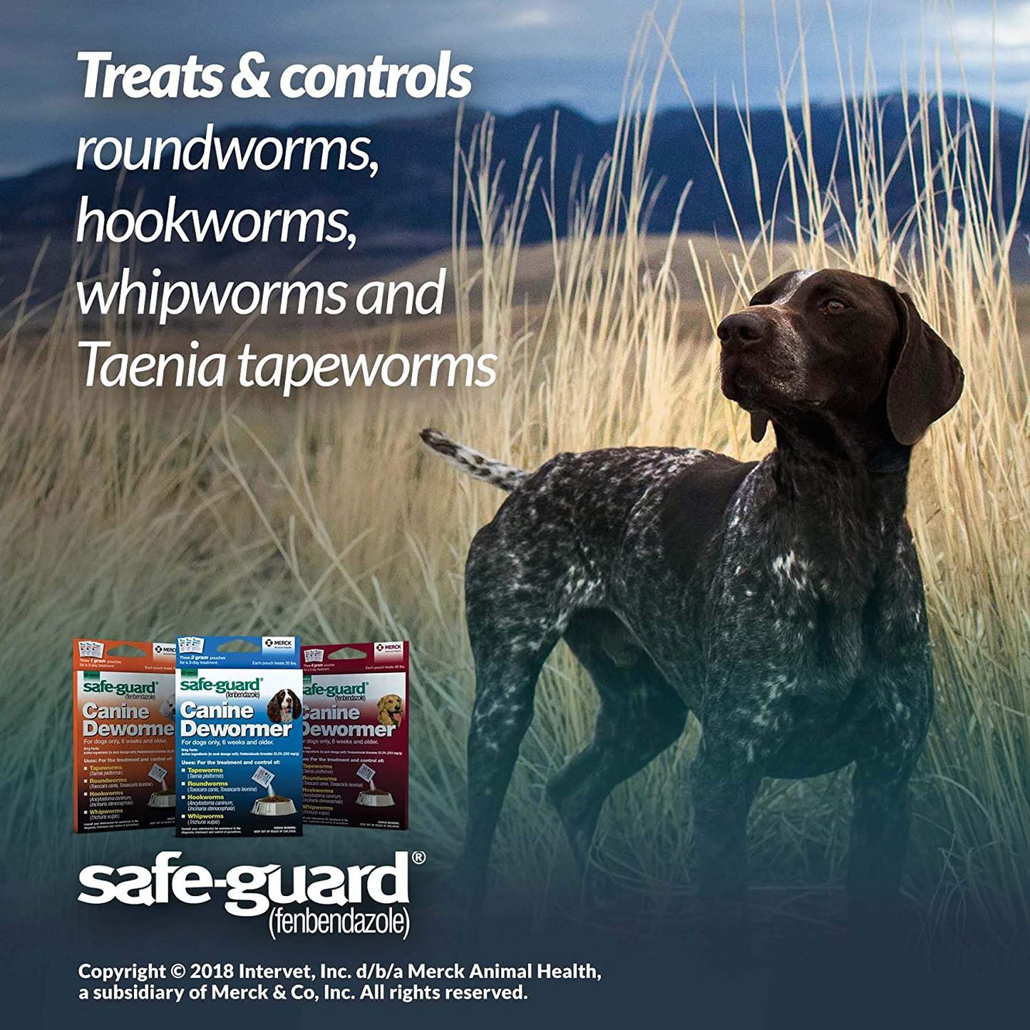 Safe-Guard (Fenbendazole) Canine Dewormer for Dogs, 4Gm Pouch (Ea. Pouch Treats 40Lbs.) Animals & Pet Supplies > Pet Supplies > Small Animal Supplies > Small Animal Treats SAFE-GUARD   