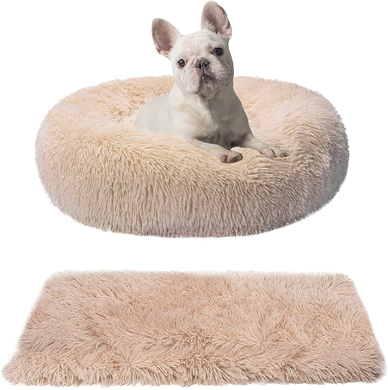 Comfy dog beds for online medium dogs