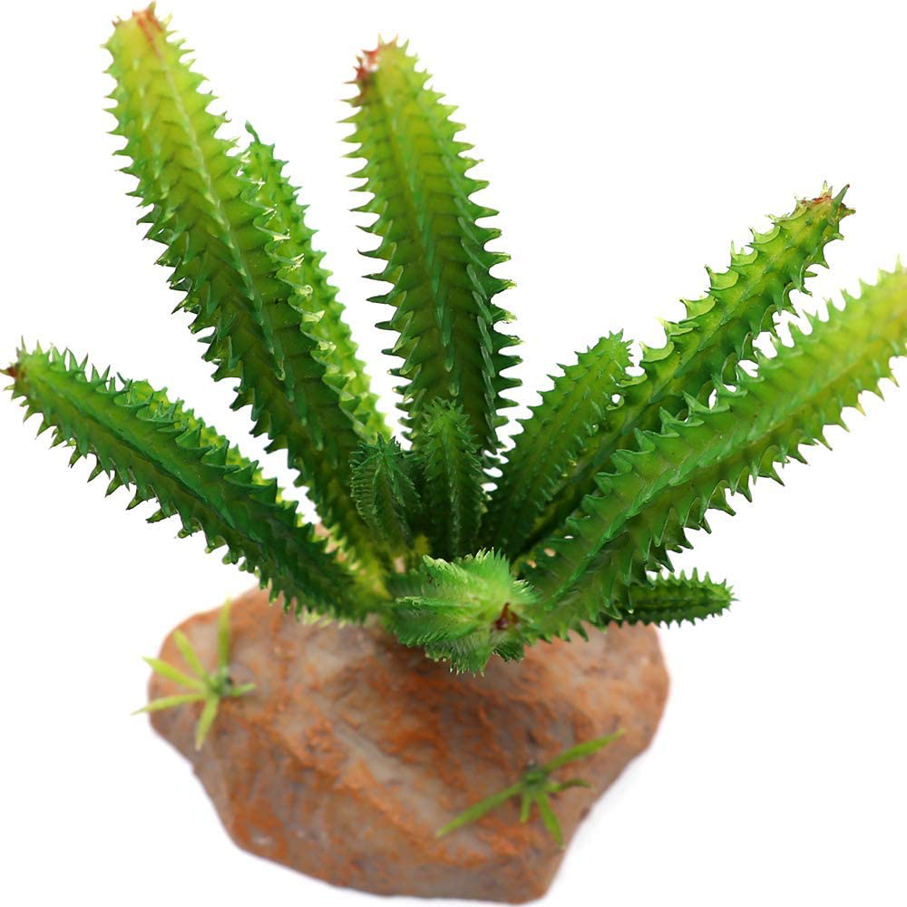 SLSON Reptile Plants Terrarium Decor Cactus Plastic Plant Ornament for Lizard Gecko Bearded Dragon Habitat Decoration Animals & Pet Supplies > Pet Supplies > Reptile & Amphibian Supplies > Reptile & Amphibian Habitat Accessories SLSON   