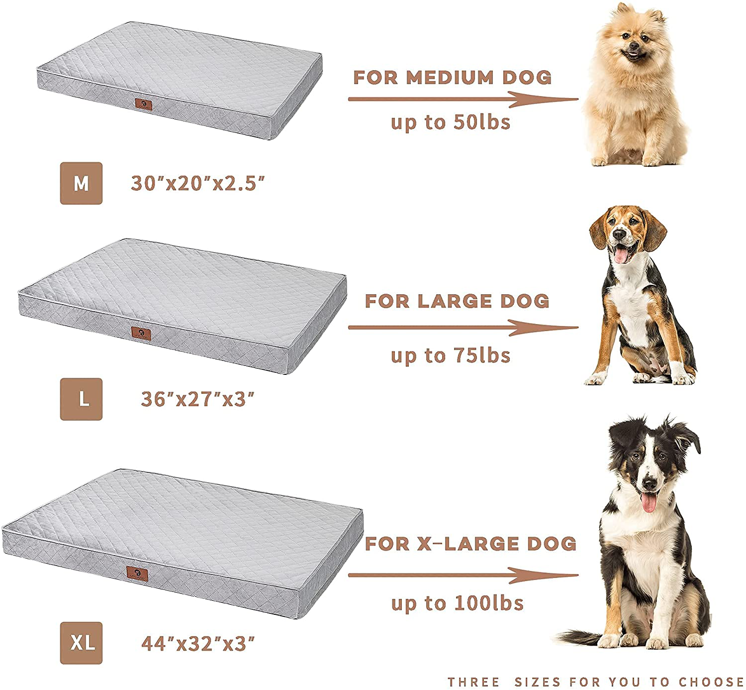 Can you wash egg crate foam dog outlet bed