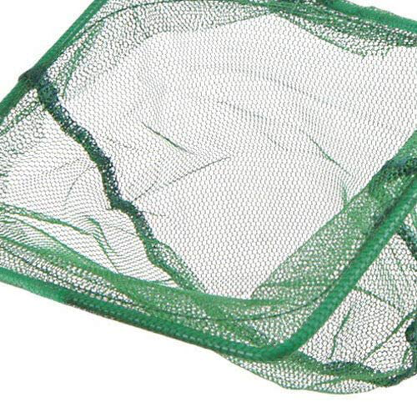 Set of 2 Long Handle Nylon Aquarium Net Fine Mesh Animals & Pet Supplies > Pet Supplies > Fish Supplies > Aquarium Fish Nets Homestyle   