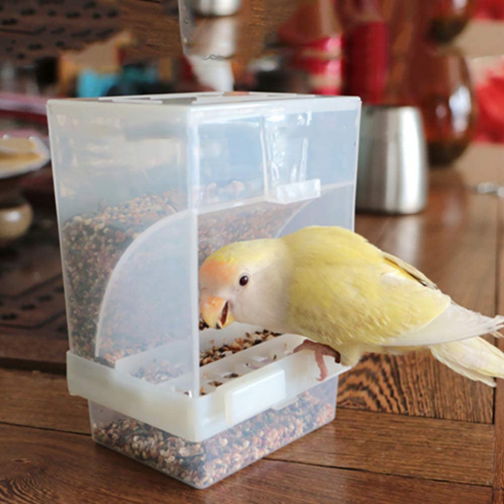 PINVNBY No-Mess Bird Feeder Parrot Automatic Feeder Seed Food Container Perch Cage Accessories for Budgerigar Canary Cockatiel Finch Parakeet Green Cheek Conures Parrotlets Lovebirds Animals & Pet Supplies > Pet Supplies > Bird Supplies > Bird Cage Accessories PINVNBY   