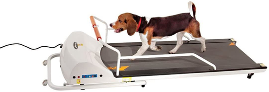 GOPET Petrun PR720F Dog Treadmill Indoor Exercise/Fitness Kit Animals & Pet Supplies > Pet Supplies > Dog Supplies > Dog Treadmills GOPET   