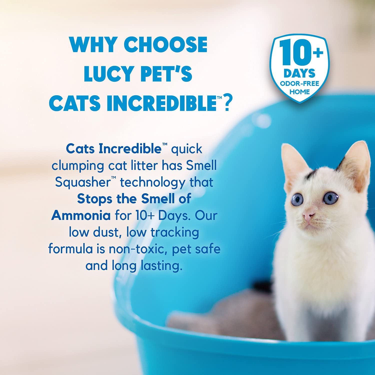 Lucy Pet Cats Incredible 18 Lb Box Clumping Cat Litter Recyclable Box with Smell Squasher, Absorbent Natural Clay Formula Prevents Ammonia Smell Build-Up, Light Lavender Scent Animals & Pet Supplies > Pet Supplies > Cat Supplies > Cat Litter Cats Incredible   