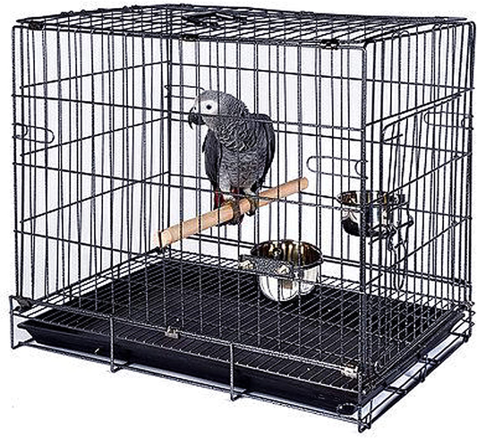 Mcage Travel Vet Bird Parrot Cage Carrier Foldable with Stainless Bowls and Wooden Stand Perch