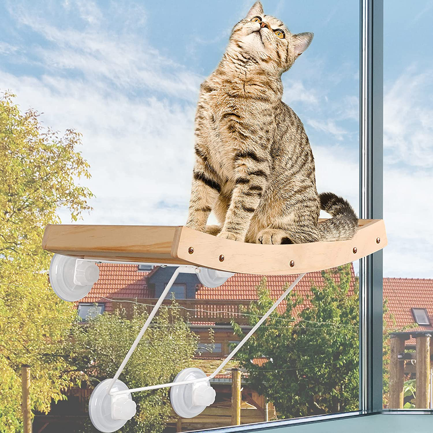 Cat Perch, Angela&Alex Cat Window Hammock Cat Seat with Strong Heavy Screw Suctions Cups Cat Bed Cat Seat with Natural Sisal Iron Bracket Hold up to 30 Lbs 2021 New Versions Animals & Pet Supplies > Pet Supplies > Cat Supplies > Cat Furniture Angela&Alex   