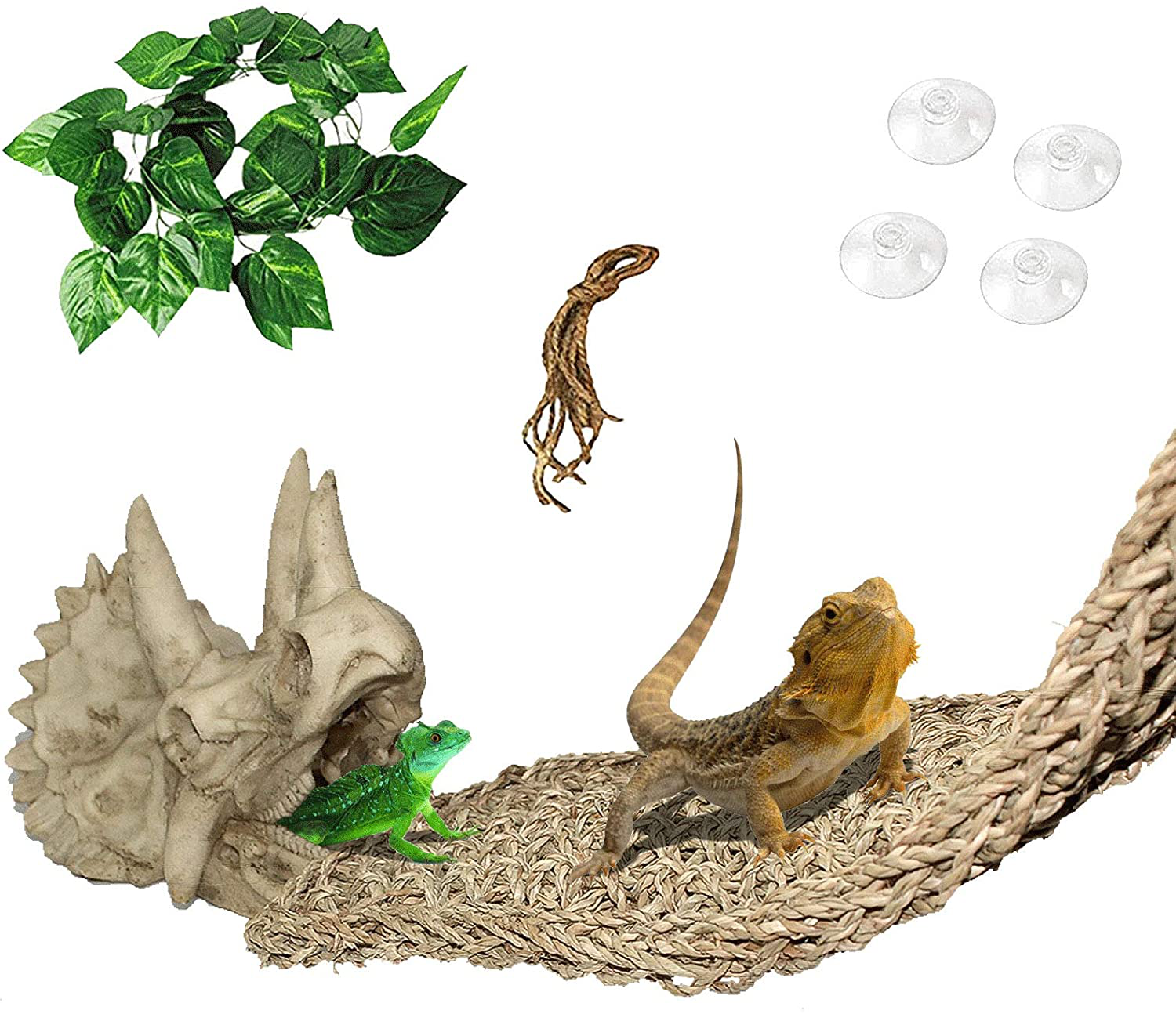 PINVNBY Reptiles Bearded Dragon Tank Accessories Resin Dinosaur Triceratops Skull Hide Amphibians Habitat Hammock Hideouts Cave Aquarium Decorations for Lizard Chameleon Snake Frog Spider Gecko Animals & Pet Supplies > Pet Supplies > Reptile & Amphibian Supplies > Reptile & Amphibian Habitat Accessories PINVNBY   