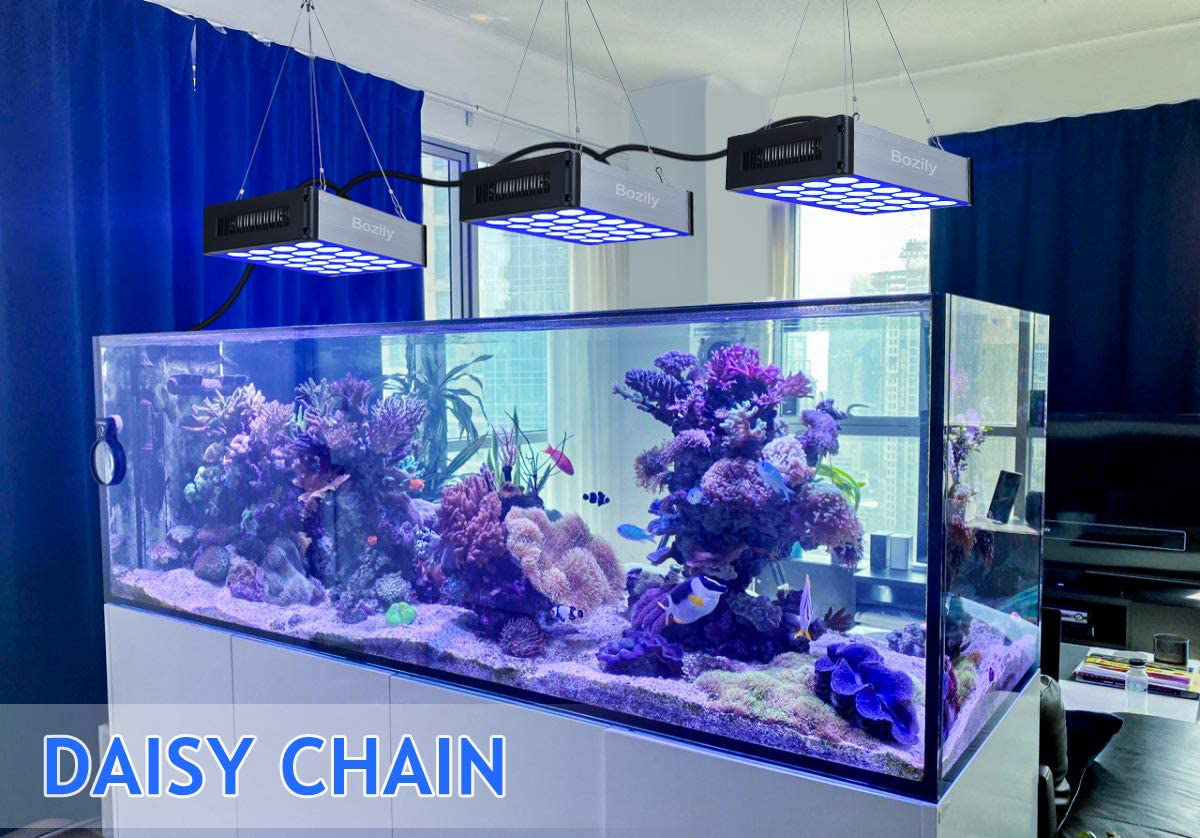 LED Aquarium Light, Bozily LED Reef Tank Light, Coral Reef Light 168W Dimmable Full Spectrum LED Coral Lights with Timer & 168 Leds Coral Lights for Saltwater Tanks Freshwater Marine Animals & Pet Supplies > Pet Supplies > Fish Supplies > Aquarium Lighting Bozily   