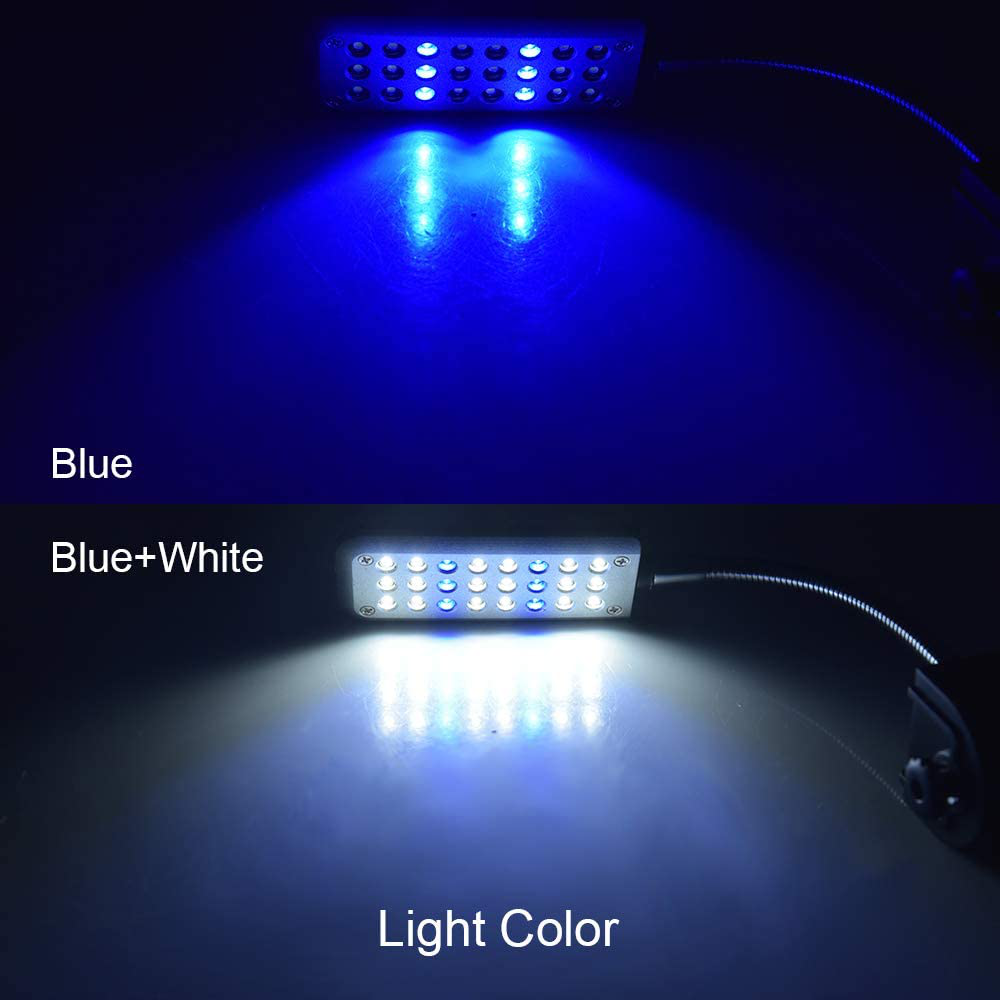 Luxvista Aquarium LED Clip Light - Flexible Fish Tank Light Gooseneck Clamp with Hight Brightness Blue/Blue & White Lighting Colors US Plug-In Small LED Clip on Lamps (1-Pack)