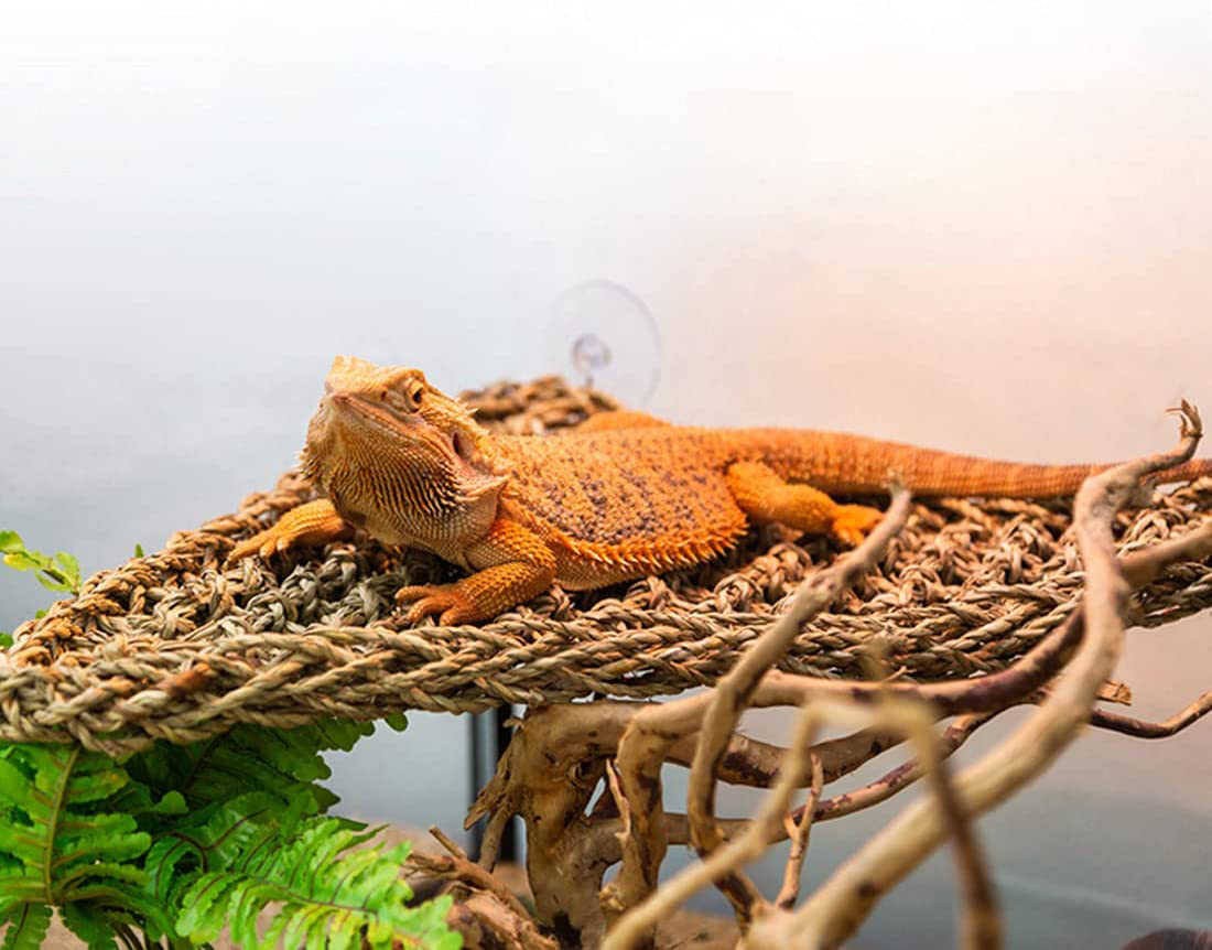 Bearded Dragon Hammock Reptile Jungle Vines Flexible Reptile Leaves with Suction Cups for Climbing Branches Habitat Terrariums Decoration Accessories Chameleon Lizards Gecko Frogs Snakes Animals & Pet Supplies > Pet Supplies > Reptile & Amphibian Supplies > Reptile & Amphibian Habitat Accessories Hamiledyi   