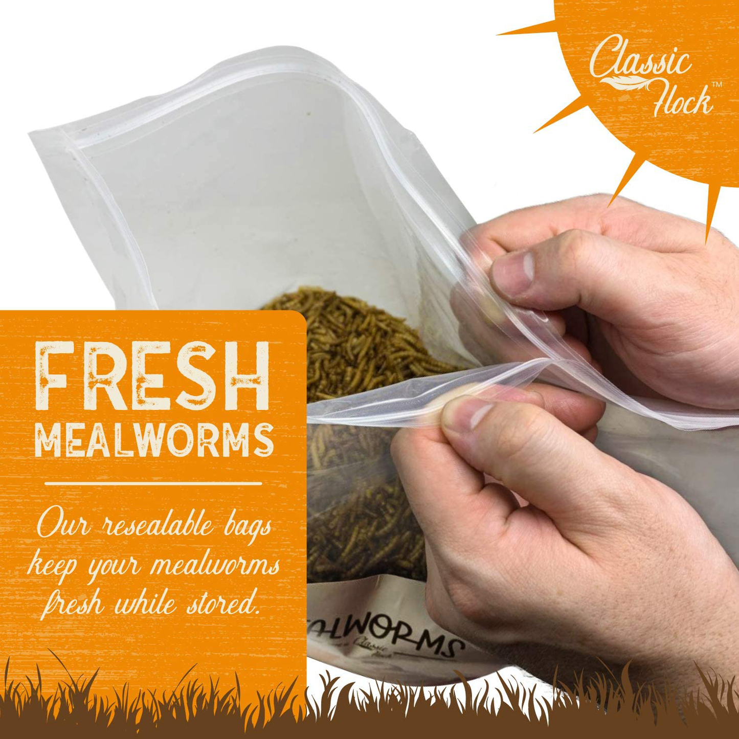 Classic Flock Dried Mealworms Animals & Pet Supplies > Pet Supplies > Reptile & Amphibian Supplies > Reptile & Amphibian Food Classic Flock   