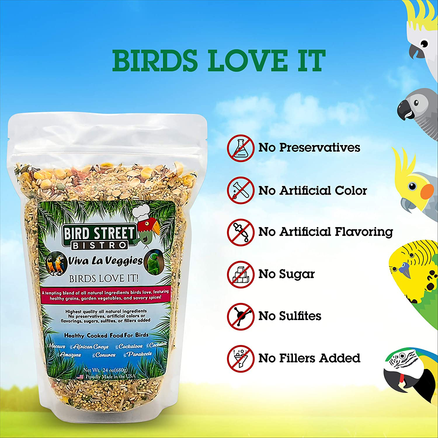 Bird Street Bistro Parrot Food Cooks in 3-15 Min| Natural & Organic Grains and Legumes, Healthy, Non-Gmo Fruits, Vegetables, Healthy Nuts, and Spices - No Fillers, Sugars, or Sulfites Animals & Pet Supplies > Pet Supplies > Bird Supplies > Bird Food Bird Street Bistro   