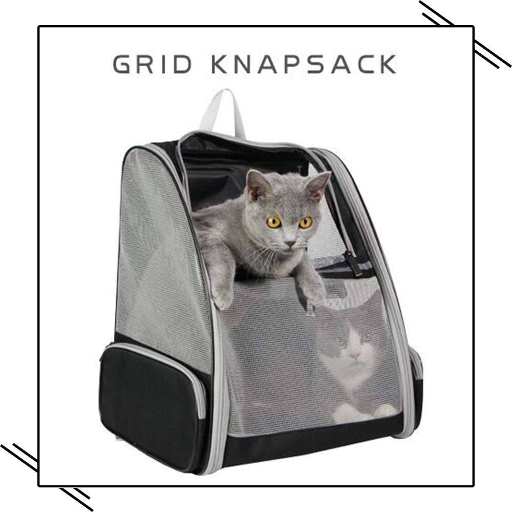 Texsens Pet Backpack Carrier for Small Cats Dogs | Ventilated Design, Safety Straps, Buckle Support, Collapsible | Designed for Travel, Hiking, Walking & Outdoor Use Animals & Pet Supplies > Pet Supplies > Small Animal Supplies > Small Animal Treats Texsens   