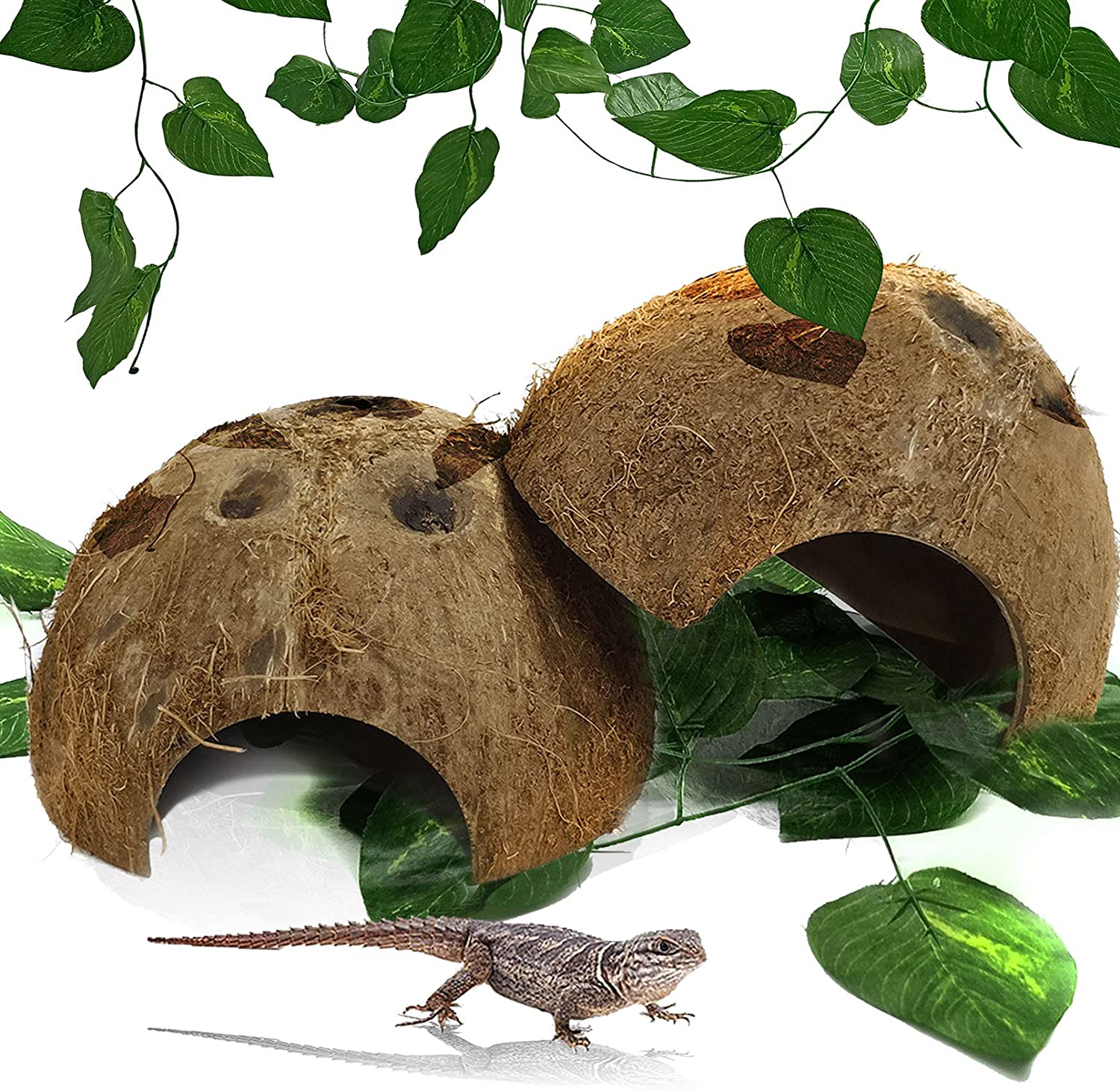 Hamiledyi Reptile Hideouts Natural Coconut Shells Hut Small Animal Hide Cave Hermit Crab Climbing Toys Lizard Habitat Decor Plant Leaves Decoration for Gecko Spider Snake Chameleon (4Pcs) Animals & Pet Supplies > Pet Supplies > Small Animal Supplies > Small Animal Habitat Accessories Hamiledyi   