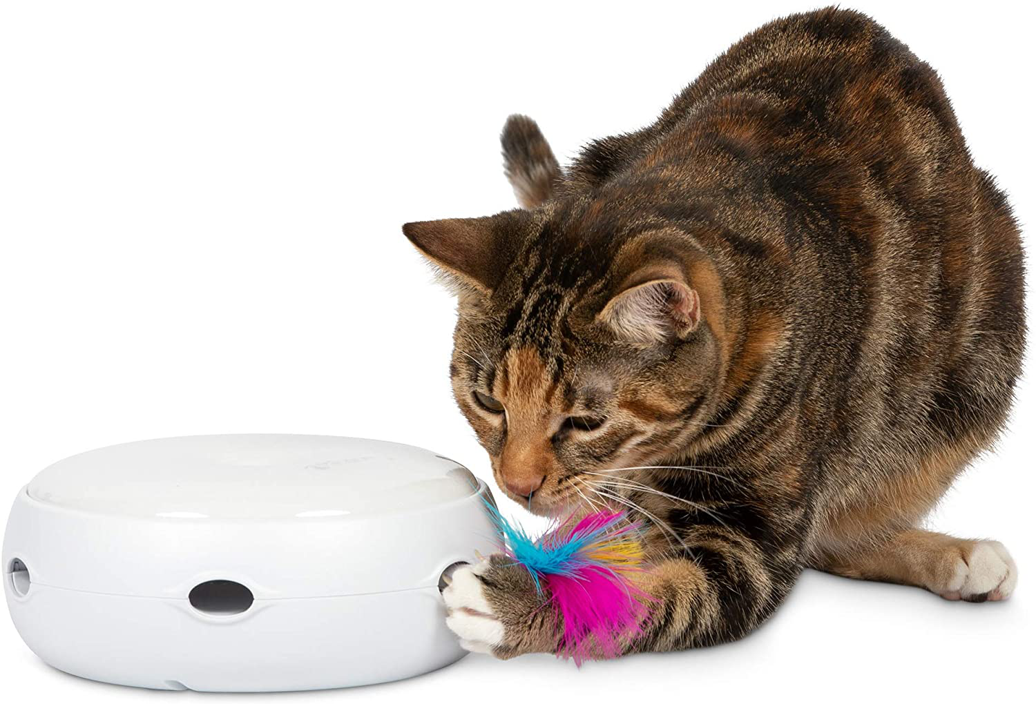 Petfusion [New & Improved Ambush Interactive Electronic Cat Toy W/Rotating Feather. (Quiet, 3 Modes, Nighttime Light, Auto Shut-Off, Batteries Incl). Replacement Feathers Available. 12 Month Warranty Animals & Pet Supplies > Pet Supplies > Cat Supplies > Cat Toys PetFusion   