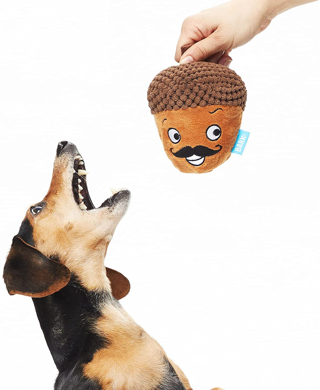 Barkbox 2-In-1 Interactive Plush Puzzle Dog Toys - Squeaky Pet and Puppy Enrichment Toys for Small, Medium, and Large Dogs Animals & Pet Supplies > Pet Supplies > Dog Supplies > Dog Toys Barkbox   